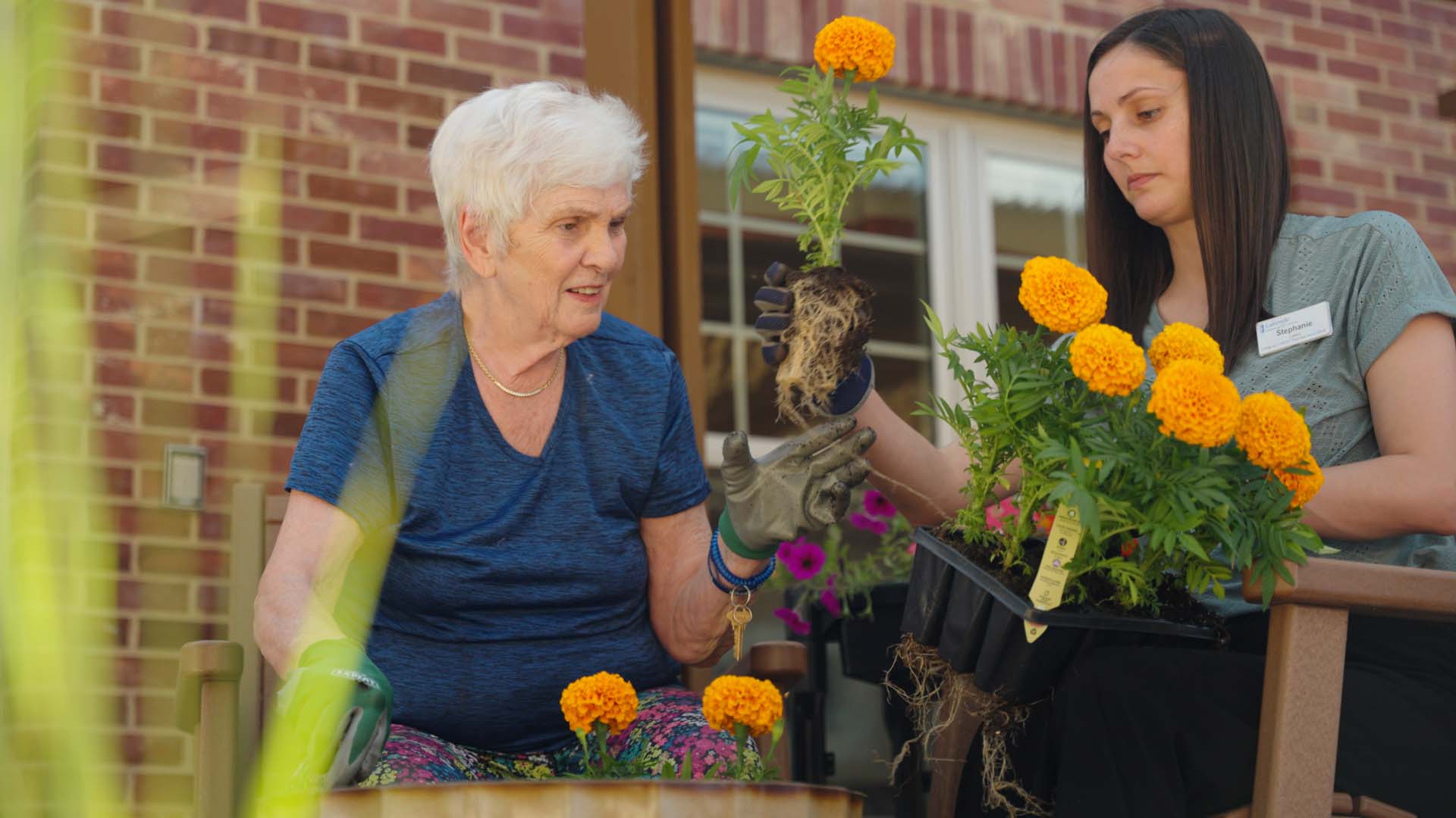Immanuel team member helping a resident plant flowers.